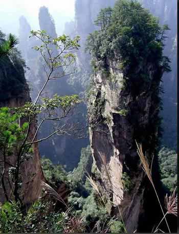 長沙出發(fā)到張家界溶洞奇觀黃龍洞、國家森林公園、袁家界、峰林之王天子山三日游（早班）
