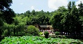 長(zhǎng)沙出發(fā)到花明樓、韶山、張家界國(guó)家森林公園、天門仙山國(guó)家森林公園四日游