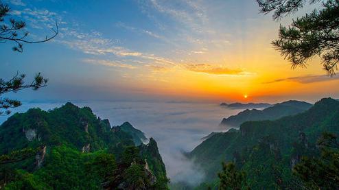 張家界森林公園（金鞭溪、袁家界、楊家界、天子山、十里畫廊）住山上2天1游（可看日出）